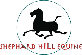 Shepard Hill Equine
